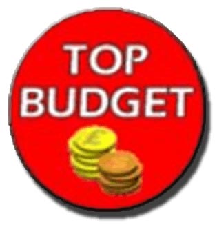 logo top budget