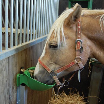 Abreuvoirs pour chevaux