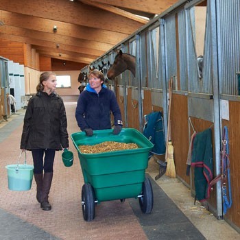 Stockage et distribution des aliments pour chevaux
