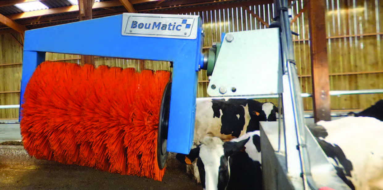 HandyBrush LA BROSSE À VACHES ROBUSTE et DURABLE