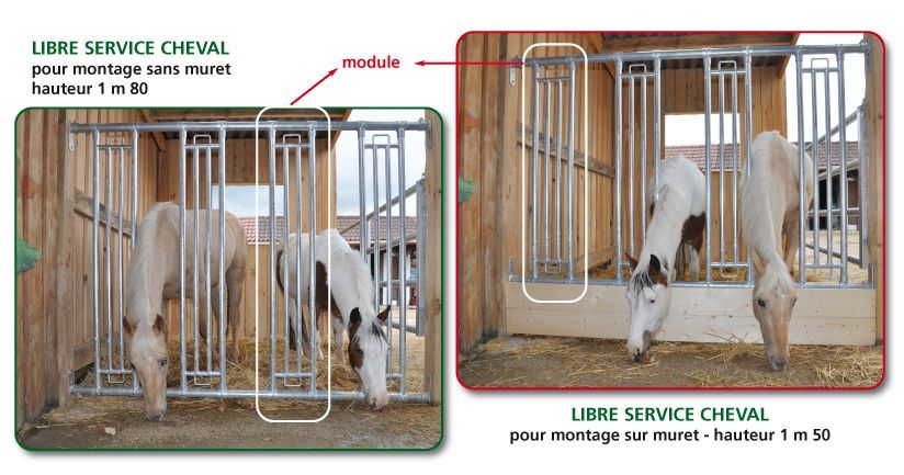 module-libre-service-cheval