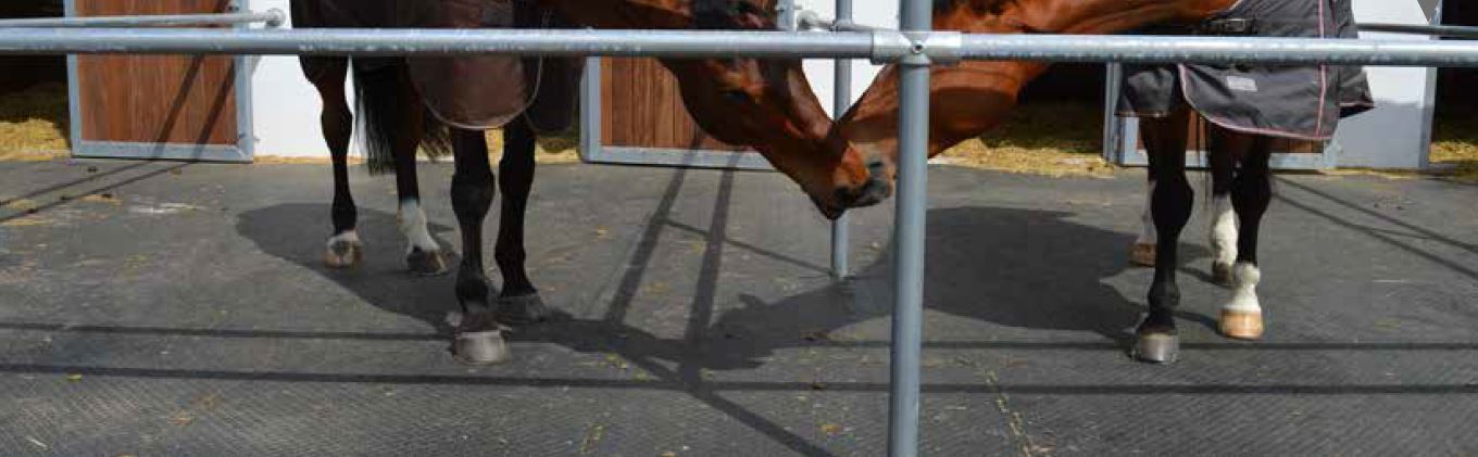 PADDOCK Tapis pour paddocks attenant aux boxes, douches, chemins et zones d’entrée