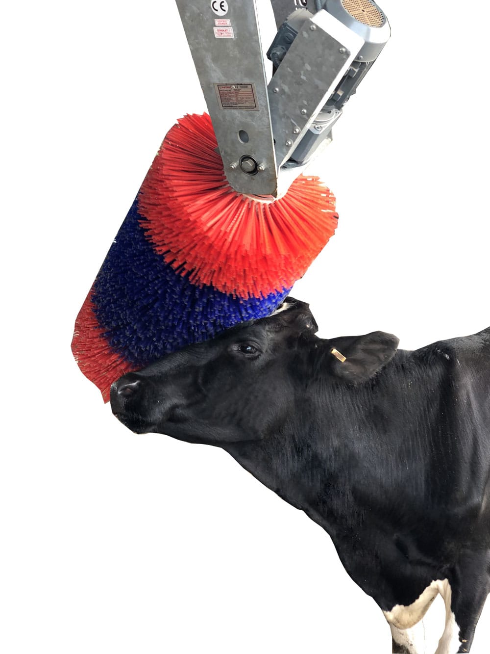Révolutionnez la santé et la productivité de vos vaches avec le brossage automatique