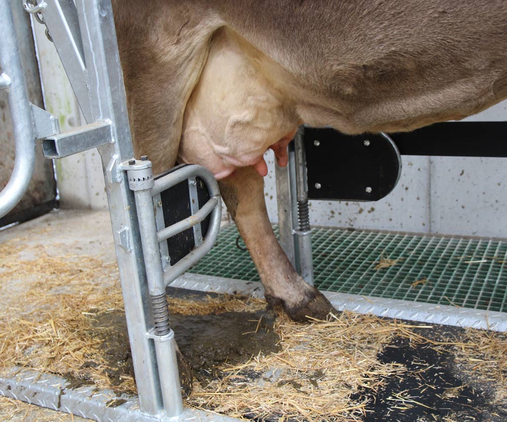 Cages de Parage SOCOBER pour éleveurs