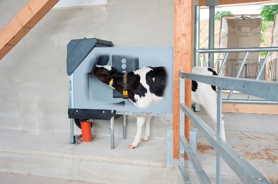 Distributeur Automatique de Lait HOLM & LAUE : Alimentation automatique des veaux en fonction des besoins de chaque animal