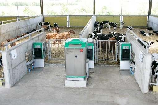 Distributeur Automatique de Lait HOLM & LAUE : Alimentation automatique des veaux en fonction des besoins de chaque animal